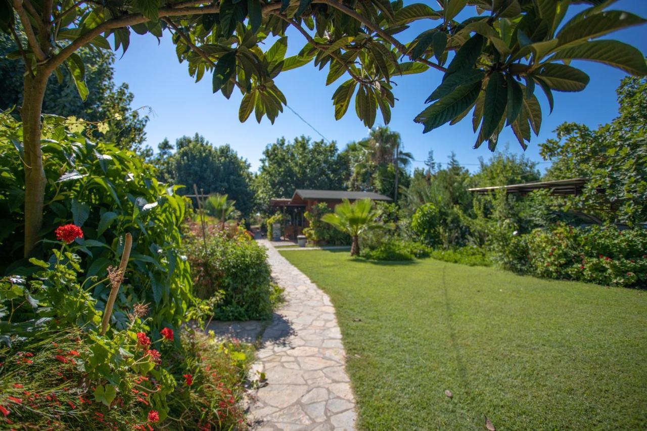 Ugur Pansiyon Bungalows Çıralı Luaran gambar