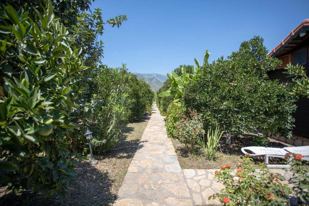 Ugur Pansiyon Bungalows Çıralı Luaran gambar
