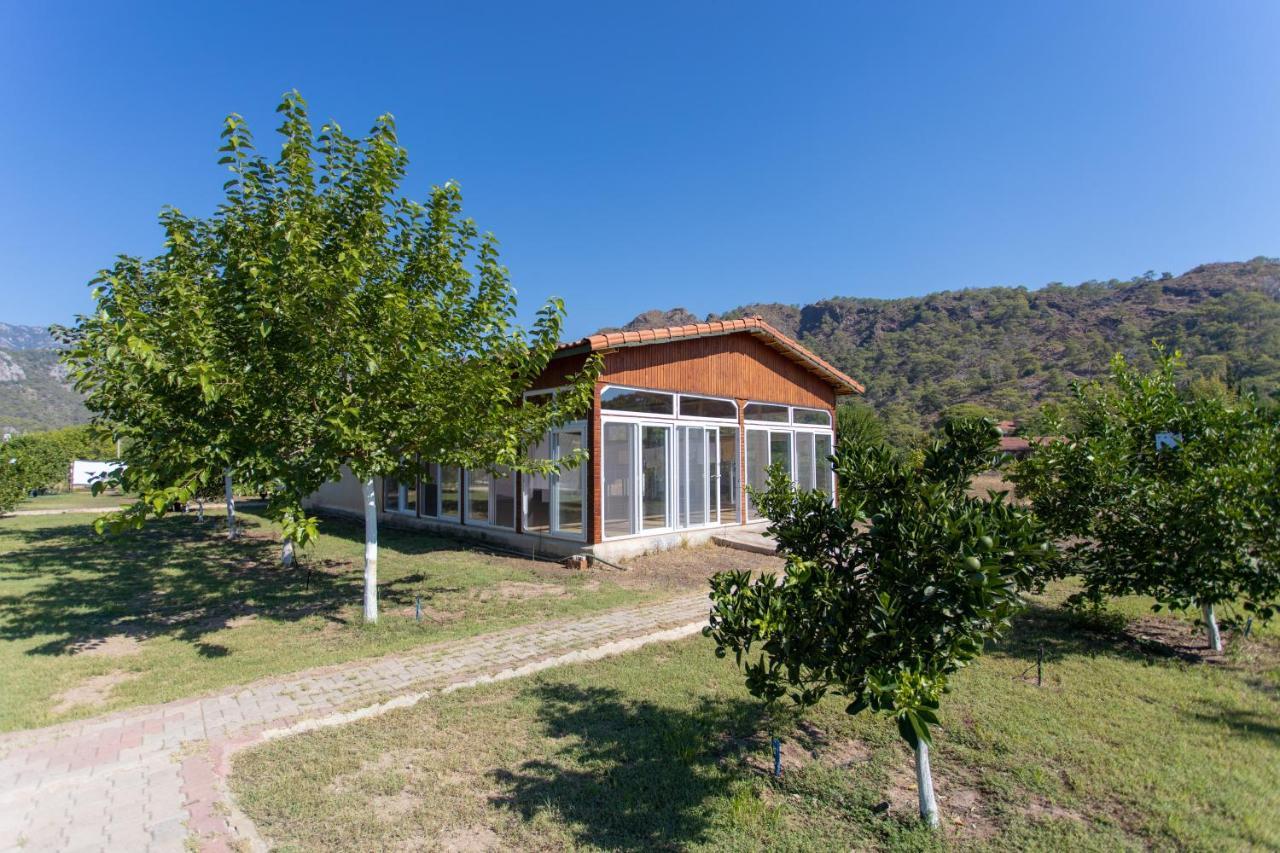 Ugur Pansiyon Bungalows Çıralı Luaran gambar