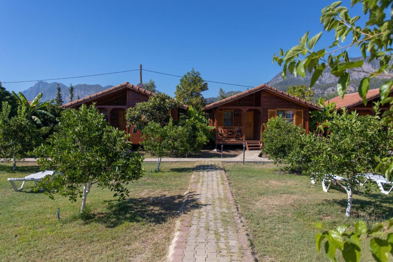 Ugur Pansiyon Bungalows Çıralı Luaran gambar
