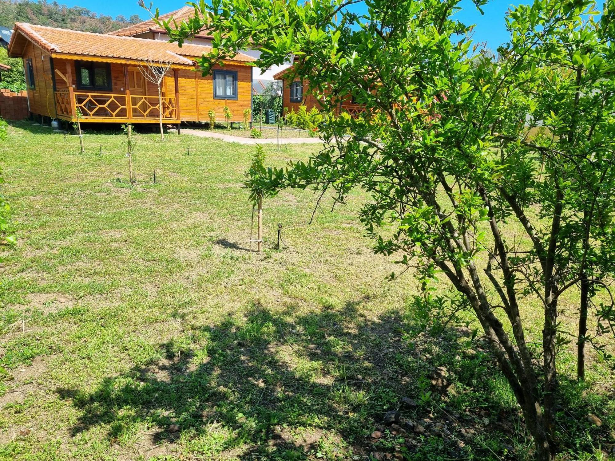 Ugur Pansiyon Bungalows Çıralı Luaran gambar